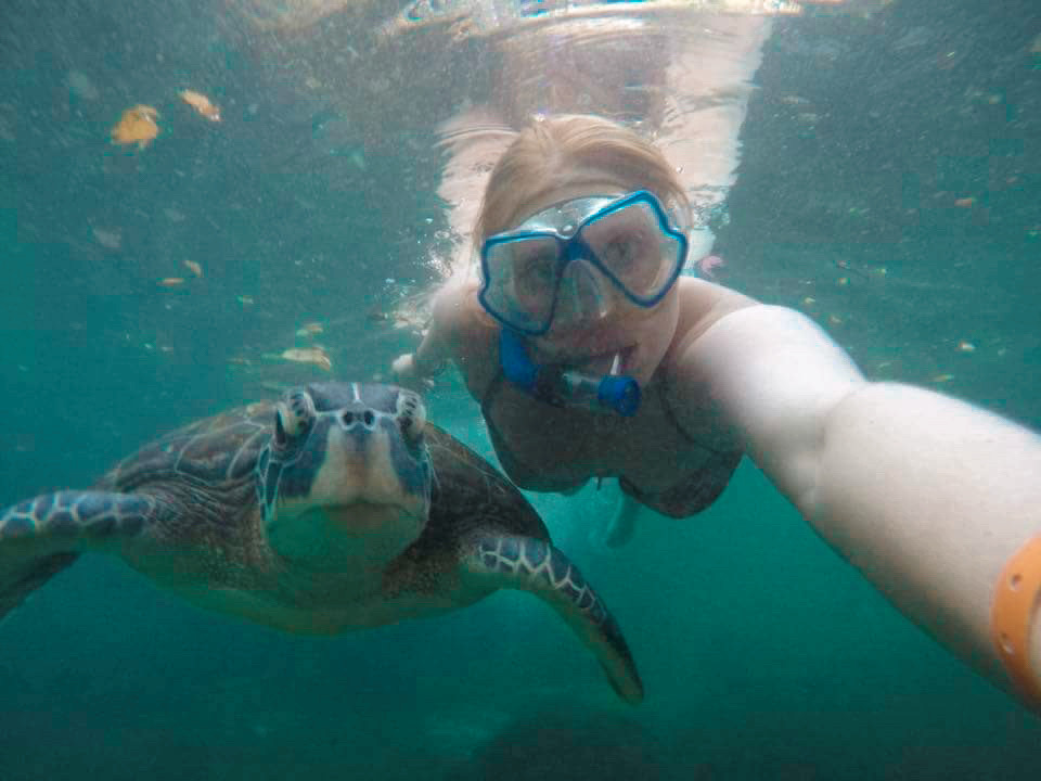 Swim with Turtles